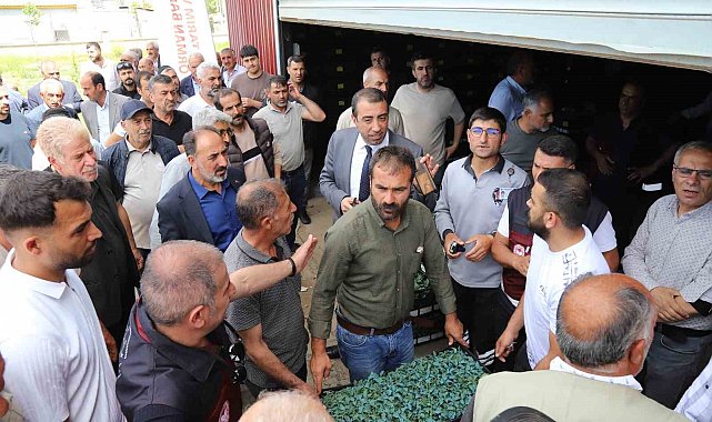 Bingöl'de üreticilere 442 bin sebze fidesi dağıtıldı