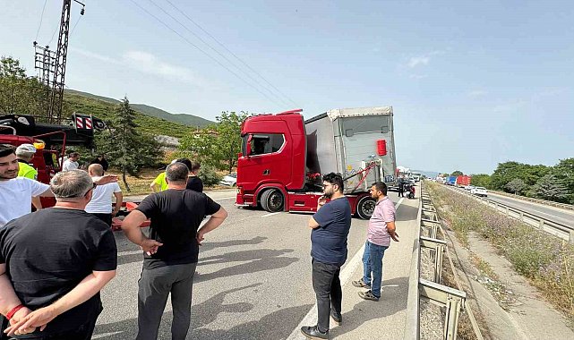 Bir arının yaptığına bak...Yüzlerce kişiyi mağdur etti