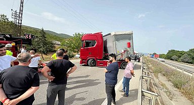 Bir arının yaptığına bak...Yüzlerce kişiyi mağdur etti