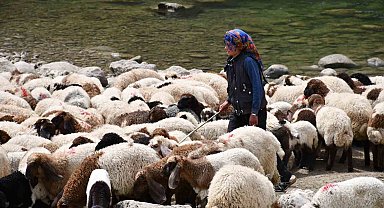 Bir çocuğun sessiz çığlığı: "Hiç oyuncağım olmadı"