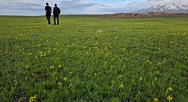 Bitlis'in saklı güzellikleri: Cil Gölü ve Sütey Yaylası