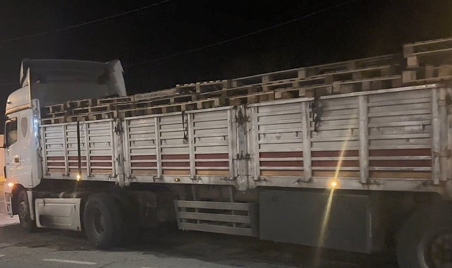 Bitlis'te 42 düzensiz göçmen yakalandı