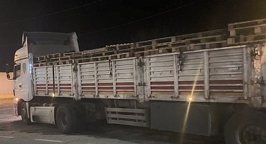 Bitlis'te 42 düzensiz göçmen yakalandı