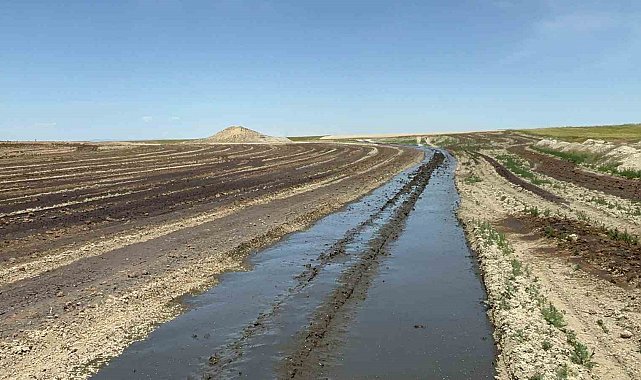 Biyogaz enerji üretimi yaparak atıklarını tarlaya döken firmalara 3 milyon TL'ye yakın idari para cezası kesildi