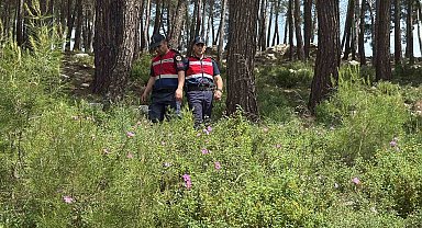 Bodrum'da ormanlara giriş yasaklandı, jandarma termal dronla kuş uçurtmuyor