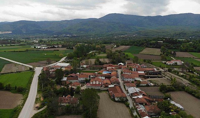 Bolu'da 4 köyde içme suyundan zehirlenme şüphesi: 80 kişi hastaneye başvurdu