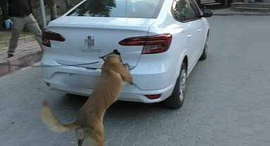 Bolu'da zehir tacirlerine geçit yok: 12 gözaltı