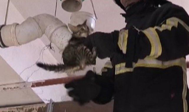 Boru içinde mahsur kalan yavru kedinin yardımına itfaiye ekipleri yetişti