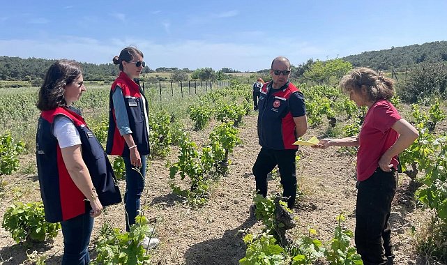 Bozcaada'da organik tarım dentimleri yapıldı