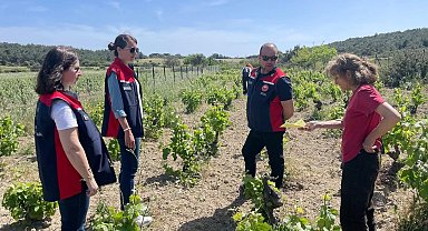 Bozcaada'da organik tarım dentimleri yapıldı