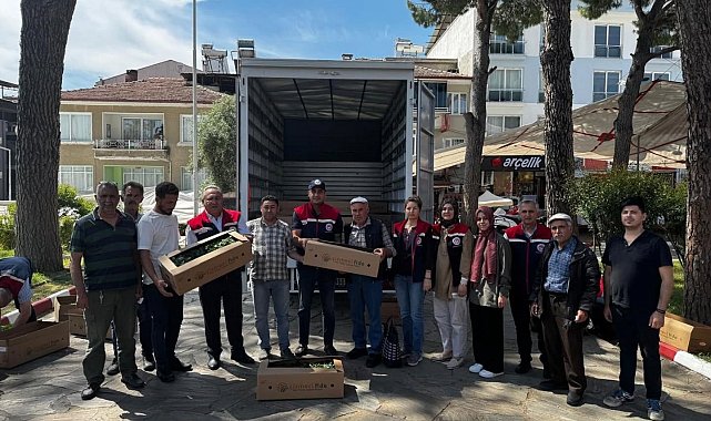 Bozdoğan'da 60 bin turşuluk biber fidesi dağıtıldı