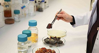 Bu ambalaj ürünlerin raf ömrünü uzatacak