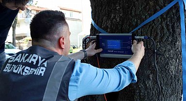 Bu cihaz Sakarya'da yeşil cennetin tomografisini çekecek