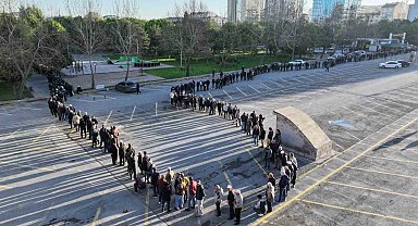 Bu da domates fidesi kuyruğu