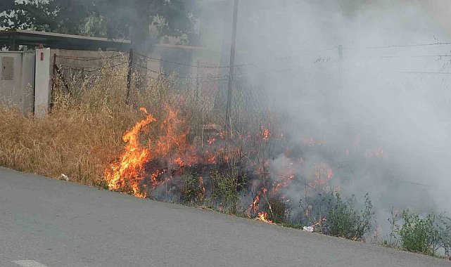Burhaniye'de ot yangını korkuttu
