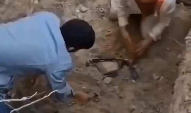 Bursa'da ölen köpekleri mezardan çıkarmaya çalıştılar