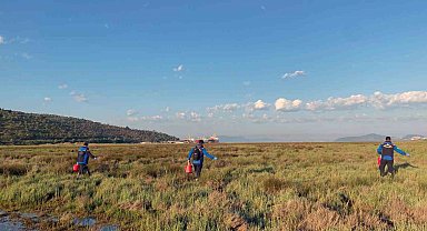 Büyükşehir Belediyesi'nden Güllük Mahallesi'nde 60 hektar alanda ilaçlama