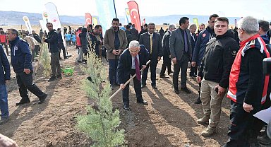 Büyükşehirden 6 yılda 750 bin fidan ile Kayseri'ye 'yeşil' katkı