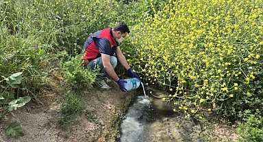 Çanakkale'de çeltik ekim alanlarında sivrisinek mücadelesi başladı