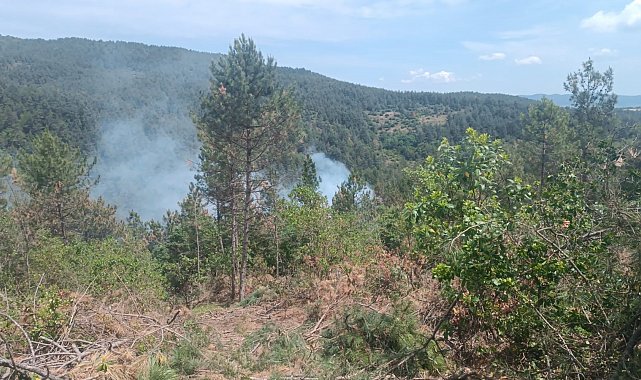 Çanakkale'de orman yangını kontrol altına alındı