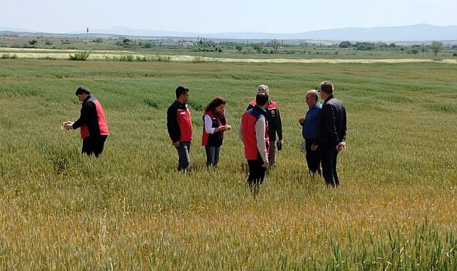 Çanakkale'de üreticilerin ekili dikili alanlarında saha incelemesi yapıldı