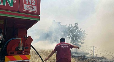 Çanakkale'deki orman yangını kontrol altına alındı