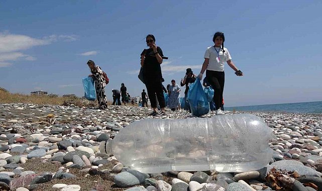 Caretta carettaların yuvalama alanları temizlendi