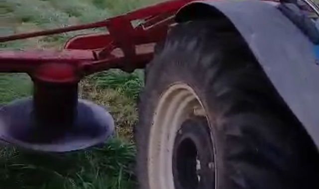 Çiftçinin dikkati 8 köpek yavrusunu ölümden kurtardı