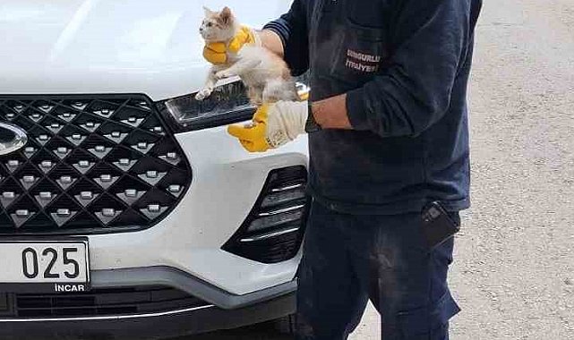 Cipin motor kısmına sıkışan yavru kediyi itfaiye kurtardı