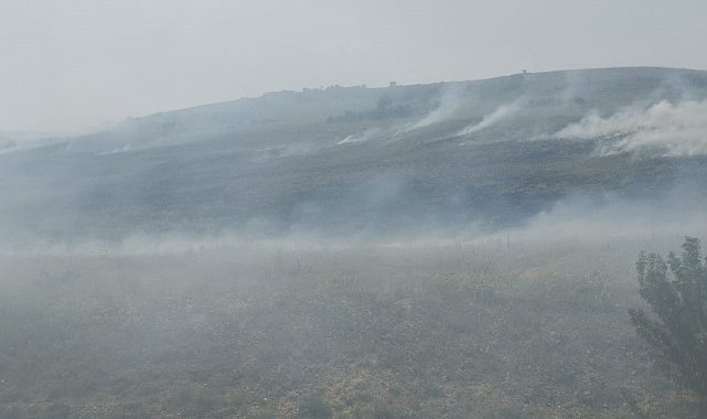 Çivril'de otluk alanda yangın çıktı