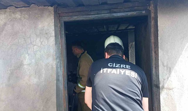 Cizre'de odunlukta çıkan yangın paniğe neden oldu