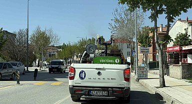 Çorum Belediyesi ekipleri vektörel mücadele için gece-gündüz sahada
