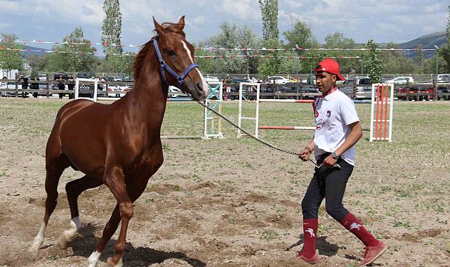 Çorum'da atlar güzellikleriyle yarıştı