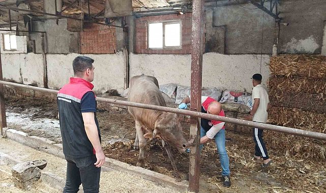 Çorum'da hayvan pazarları kapatıldı