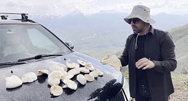 Dağlarda kendiliğinden yetişiyor, kilosu bin 250 TL'den satılıyor