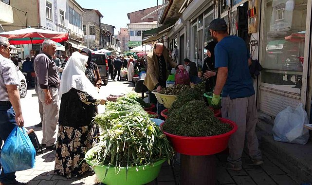 Dağlardan toplanan otlar hem şifa hem kazanç sağlıyor