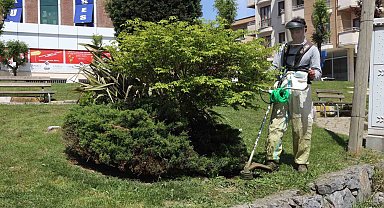 Darıca'da yeşil alanlarda bahar mesaisi