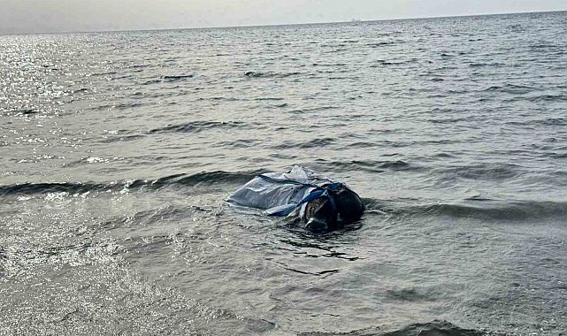 Denizden balık yerine angus çıktı