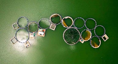 Denizi olmayan Manisa'dan dünya sofralarına somon ihracatı