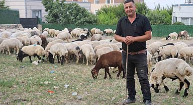Depremzede vatandaşların memleketlerine dönüşü kurbanlıklara olan rağbeti arttırdı