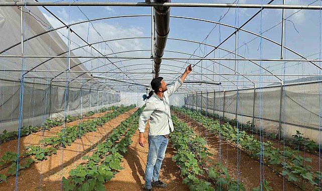 Derecik'te şiddetli fırtına: Seralarda maddi hasar oluştu