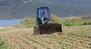 Devlet çiftçiye "ekin" diyor, DSİ ekili alanları düzlüyor