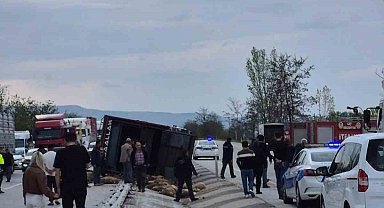 Devrilen kamyonda 53 koyun telef oldu