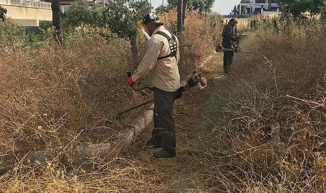 Didim Belediyesi'nden 'kuru ot' seferberliği