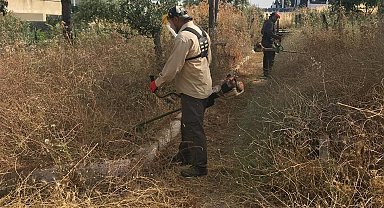 Didim Belediyesi'nden 'kuru ot' seferberliği