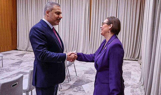 Dışişleri Bakanı Fidan, İsveçli mevkidaşı Stenergard ile görüştü