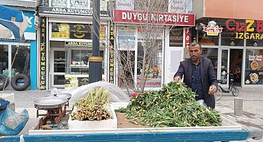 Diyadin'de baharın müjdecisi ışkın ve çiriş tezgahları süslüyor