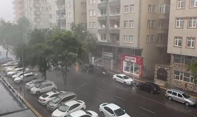 Diyarbakır'da sağanak etkili oldu, lüks otomobil devrilen ağacın altında kaldı