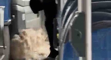 Diyarbakır'da sağanak yağış nedeniyle biriken su halk otobüsüne taştı