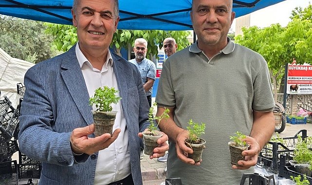 Doğal sivrisinek kovar fesleğenler yoğun ilgi gördü